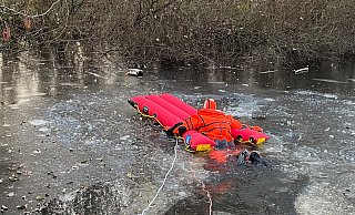Die zunächst herbeigeeilten Mitarbeiter des Bauhofs konnten der verzweifelten Ente nicht helfen. Ordnungsamtsleiterin Ellen Strothenke alarmierte deshalb die Freiwillige Feuerwehr. - Feuerwehr Steinhagen