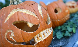 Wenn es nichts Süßes gibt, gibts Saures - der Halloween-Brauch artet manchmal in Vandalismus aus. Symbolfoto: Arne Dedert/dpa - Arne Dedert/dpa