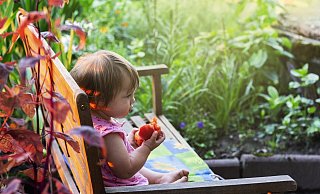 Zurück zur Natur: Die in Österreich gestartete Initiative "Natur im Garten" soll mit Blick auf die Landesgartenschau auch in Höxter umgesetzt werden. - Pixabay