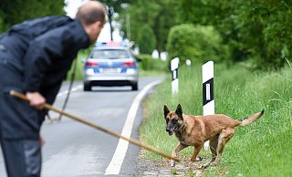 Symbolfoto: Ein Polizeihund ist bei einem Einsatz in Kirchlengern schwer verletzt worden. - Christian Weische