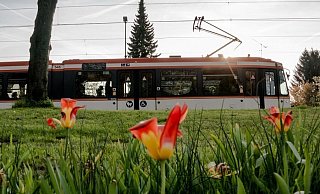 Ein Stück Bielefelder Historie verlässt die Stadt. - MoBiel