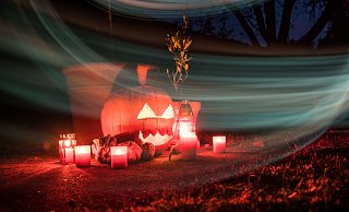 Damit der Kürbis auch noch an Halloween schaurig schön aussieht, gibt es beim Aushöhlen und Schnitzen einiges zu beachten. - Christin Klose/dpa-tmn