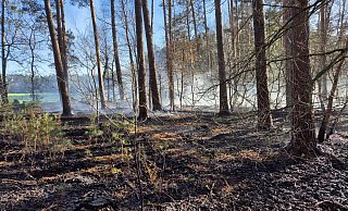 Wegen der Trockenheit werden die Wälder durch Kontrollflüge überwacht. In Espelkamp musste die Feuerwehr schon Waldbrände löschen. - Feuerwehr Espelkamp