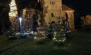 Geschmückte Tannen sorgen für adventliche Stimmung vor der Rehmer Laurentiuskirche. Nun haben Unbekannte einen Bau sowie fünf Lichterketten gestohlen. - Klaus-Udo Hennings