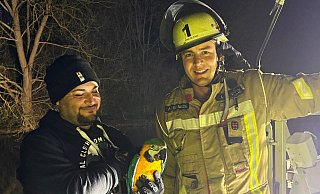Wohlbehalten ist der Gelbbrust-Ara nach seiner Rettung durch die Feuerwehr wieder in guten Händen. - Feuerwehr Büren