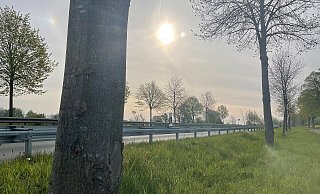 Die Unfallstelle ein Jahr später. Hier war der 50-Jährige nach einem Frontalzusammenstoß verstorben. - Stefanie Dullweber