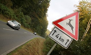 Vorsicht: Im Kreis Paderborn kommt es regelmäßig zu Zusammenstößen von Autos und Wildtieren. - David Schellenberg