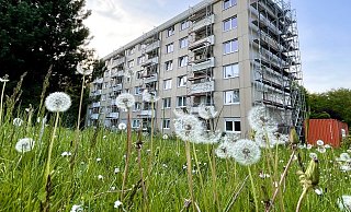 Kaum war das Gerüst an der Balkon-Front abgebaut, montierte die nächste Firma ein neues. - Stefan Becker
