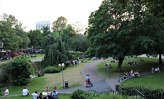 Auch an diesem Samstag war das Paderquellgebiet wieder ein beliebtes Ziel vieler Menschen, um den Sommer zu genießen. Es blieb aber ruhiger als am vergangenen Wochenenden. - Moritz Jülich