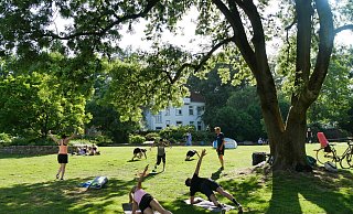 Sportliches Plätzchen: Unterhalb des Cafés am Bürgerpark findet Crossout statt.  - Both