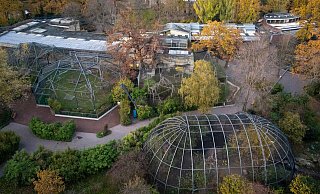 Rund fünf Wochen muss(te) der Berliner Zoo wegen eines Vogelgrippe-Falles schließen; an Heiligabend darf er - unter Auflagen - wieder öffnen. - Monika Skolimowska/dpa