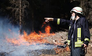 Ein Feuerwehrmann steht vor einem brennenden Waldstück bei Gummersbach und steuert die Löscharbeiten. - dpa