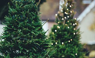 Coronabedingt könne der Markt 2020 nicht stattfinden. - Pixabay (Symbolbild)