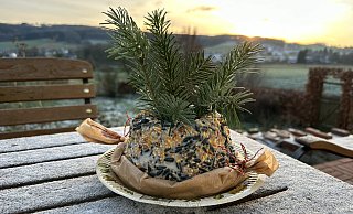 Ein Festschmaus für Spatzen und Finken ist der selbst gemachte Kuchen. Auf einem Gartentisch ist er dekorativ und lädt auch zum Beobachten der Vögel ein. - Ingrun Waschneck