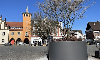 Weil er bei Großveranstaltungen auf dem Lübbecker Marktplatz nach Auskunft der Verwaltung gestört hat, wurde vor dem Blue Mojo ein Baum durch einen Pflanzkübel ersetzt. - Heike von Schulz Weil er bei Großveranstaltungen auf dem Lübbecker Marktplatz nach Auskunft der Verwaltung gestört hat, wurde vor dem Blue Mojo ein Baum durch einen Pflanzkübel ersetzt. - Heike von Schulz