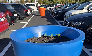 Die Stadt Bünde erklärt auf NW-Anfrage, welche Funktion die bislang noch unbepflanzten bunten Blumenkübel auf dem Parkplatz haben. - Natalie Gottwald