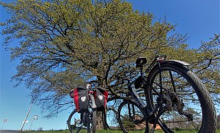 Zwei Löhner haben es nicht bei einer Tagestour mit dem Fahrrad belassen. 18 Monate lang waren sie unterwegs. - Symbolfoto: Sven Hauhart
