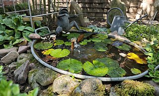 Wasserplätschern darf im Garten nicht fehlen. - Svenja Ludwig
