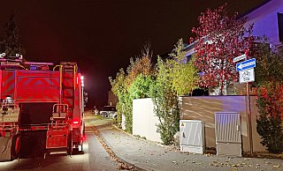 Nachbarn hatten den Funkenflug aus einem Kamin als Dachstuhlbrand am Goldregenweg gemeldet. - Ralph Meyer