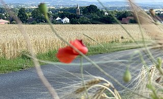 Idyllisch am Wiehen gelegen: Die Gemeinde Hüllhorst, hier ein Blick auf den Ortsteil Schnathorst. - Heike von Schulz