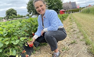 Charlotte Otte zeigt die Reifen Früchte der Erdbeersorte "Rosaria", die gerade an der Südlenger Straße in Bünde wächst und gepflückt werden kann. Um die Früchte möglichst lange anbieten zu können, wechseln die Sorten im Verlauf der Erdbeerzeit. - Natalie Gottwald