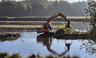 Seit dem 1. Oktober laufen die Baumaßnahmen und Gehölzarbeiten im Steinhorster Becken. - Biologische Station