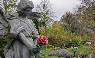 Die Kosten der Grabnutzung steigen in Brakel exorbitant an. - Burkhard Battran