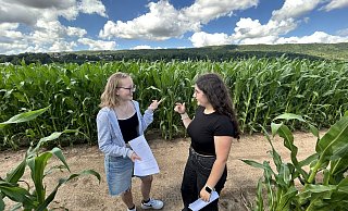 Wo geht es denn nun lang? Jule und Lina sind zwischendurch überfragt, sehen doch alle Maispflanzen und Wege im Dehmer Labyrinth gleich aus. - Nicole Sielermann
