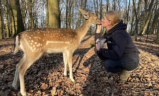 Den Junghirschen Linus und seine Adotivmutter Nicole Gröger verbindet eine innige Liebe. Klar, dass es da auch mal ein Küsschen gibt. - Elke Niedringhaus-Haasper