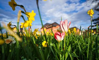 Pünktlich zum Wochenende kommt die Sonne im Norden von OWL zurück. - Andreas Arnold/dpa