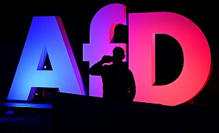 Die AfD wird auch im Westen Deutschland konstant stärker. - Julian Stratenschulte/dpa