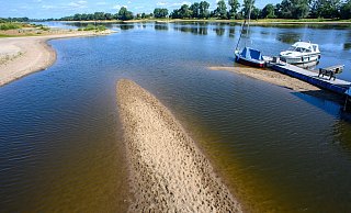 Sandbänke sind am Ufer der Elbe zu sehen: Wegen der anhaltenden Trockenheit ist derzeit Niedrigwasser. - Klaus-Dietmar Gabbert/dpa