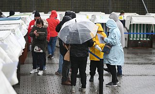 Bieter begutachten bei Regen die rund 50 Strandkörbe, die zur Auktion stehen. - Lars Penning/dpa