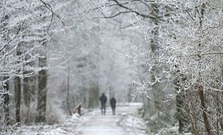 Es schneit, es schneit: In OWL könnte es Mittwoch das erste Mal so weit sein. Lange halten wird sich die weiße Pracht aber nicht. - Marijan Murat/dpa
