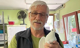 Helmut Tiekötter am 20. Juli, nachdem er die letzten gefangenen Tiere abgeholt hatte. Deutlich zu erkennen, dass die Tiere nicht beringt sind. - Tierschutzverein Bielefeld