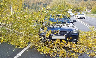 Bei Lichtenau-Grundsteinheim kippte auf der B68 ein Baum auf einen BMW, verletzt wurde aber niemand. - Polizei Paderborn
