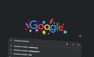In Bielefeld hat viele Menschen das Schicksal der Elster "Nils" bewegt, das zeigen die Suchanfragen bei Google. - Screenshot Google