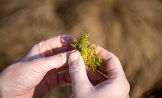 Bauernverbände haben die Sorge, dass Landwirte durch Vorgaben zu sehr eingeschränkt werden könnten. - Sina Schuldt/dpa