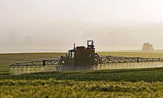 Die Ausbringung von Pflanzenschutzmitteln steht immer mehr in der Kritik, weil viele Insekten darunter leiden. Landwirte hingegen fürchen durch Schädlinge um ihre Ernte und die Lebensmittelversorgung. - Erich Westendarp/Pixabay