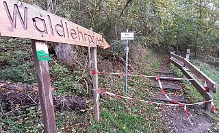 Der Waldlehrpfad ist Teil des Paderborner Höhenweges. Auf einer Strecke von 50 Metern soll der Weg deutlich verbreitert werden. - Mareike Gröneweg