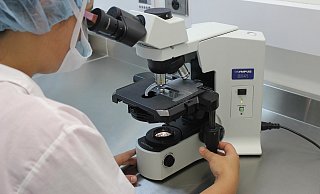 Anhand von Lebergewebeproben verstorbener Patienten kann nachgewiesen werden, dass SARS-CoV-2 die Leber bis in die Mikrogefäße schädigt. - Symbolfoto: Pixabay