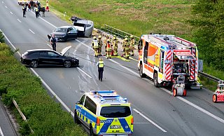 Die Tiere und die beiden Insassen des Zugfahrzeuges kamen mit leichten Blessuren davon. - Ralph Meyer
