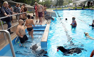 Was für eine Gaudi: Auch ohne Sonnenschein haben Hundebesitzer und Vierbeiner jede Menge Spaß beim Baden. - Reinhard Peters