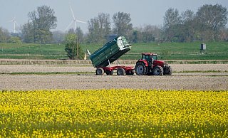 Die Umweltauflagen für Landwirte sollen auf EU-Ebene gelockert werden - das ist nicht unumstritten. - Marcus Brandt/dpa