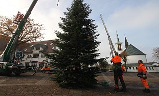 Weihnachtsbaum auf dem Holter Kirchplatz. - Sigurd Gringel