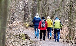 Im Wald ist es seit Corona voller geworden. - Hauke-Christian Dittrich/dpa