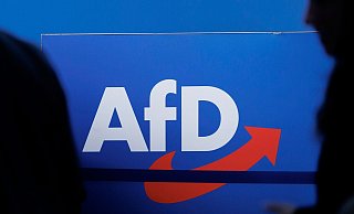 In Sachsen, Thüringen und Brandenburg liegt die AfD in Umfragen mit Blick auf die anstehenden Landtagswahlen teils deutlich vorne. - Carsten Koall/dpa