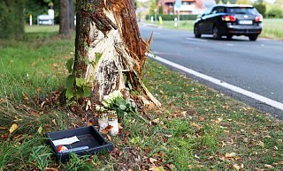 Der Wagen kam nach links von der Fahrbahn ab und prallte gegen diesen Baum. - Alex Lehn