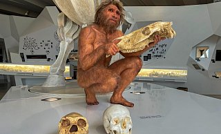 Auf Tuchfühlung mit der Urzeit: Die detailgetreue Wachsfigur eines Homo heidelbergensis im Forschungsmuseum «paläon» gibt Einblicke in das Leben unserer frühen Vorfahren. - Ralf Johnen/dpa-tmn