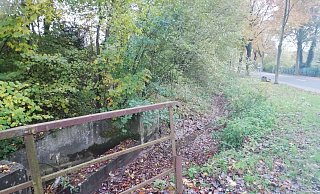 Trockengefallen: Die Schelpe in Höxter. - Petz